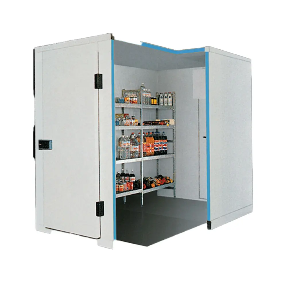 10Ft Cold Room with Refrigeration Unit Pu Panel - Image 4